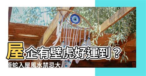 有蛇入屋 風水|【四腳蛇入屋風水】四腳蛇入屋風水：預兆、禁忌與吉祥寓意